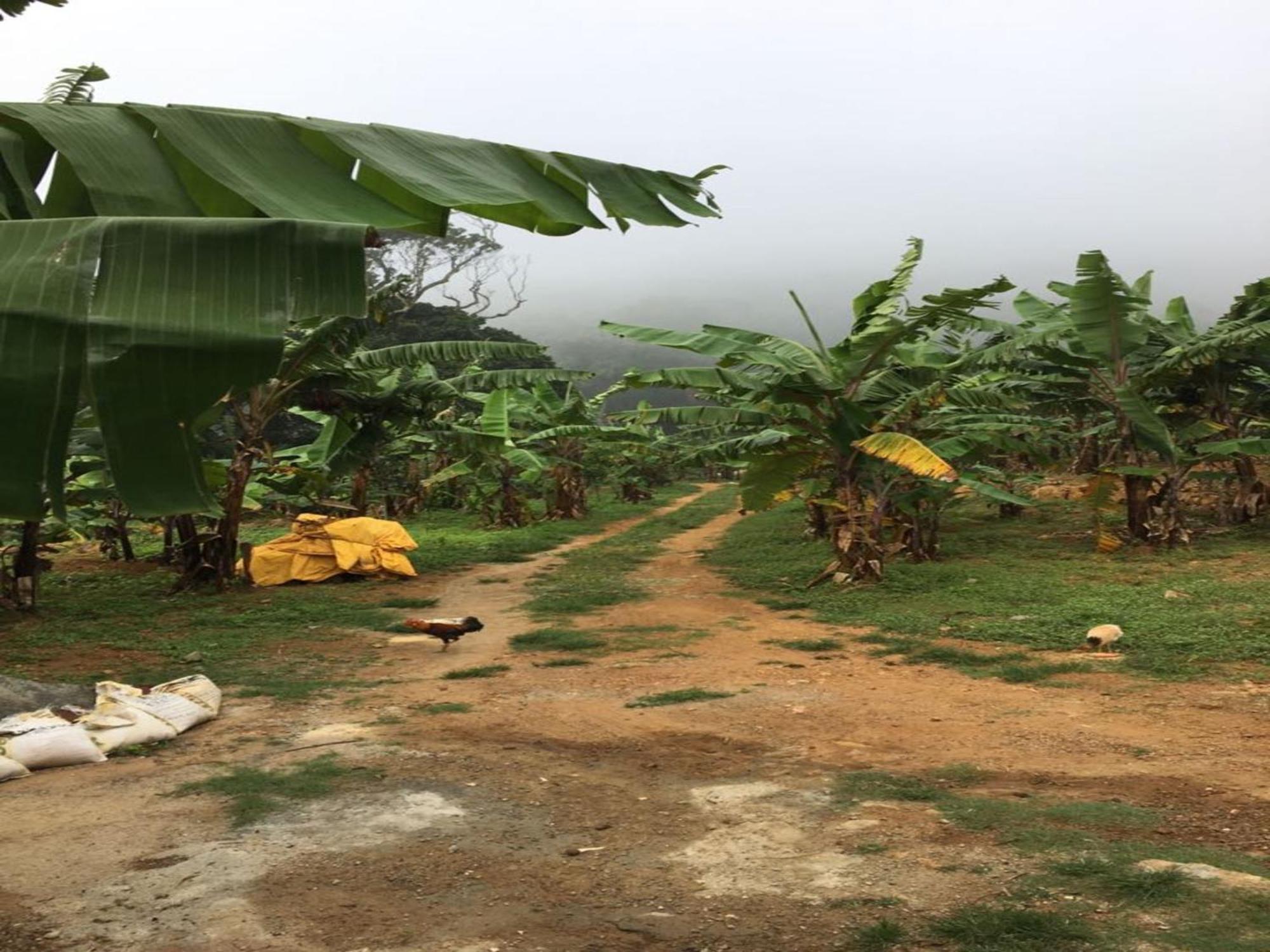 Coastal Grand Mahendravanam - Kolli Hills Exterior photo