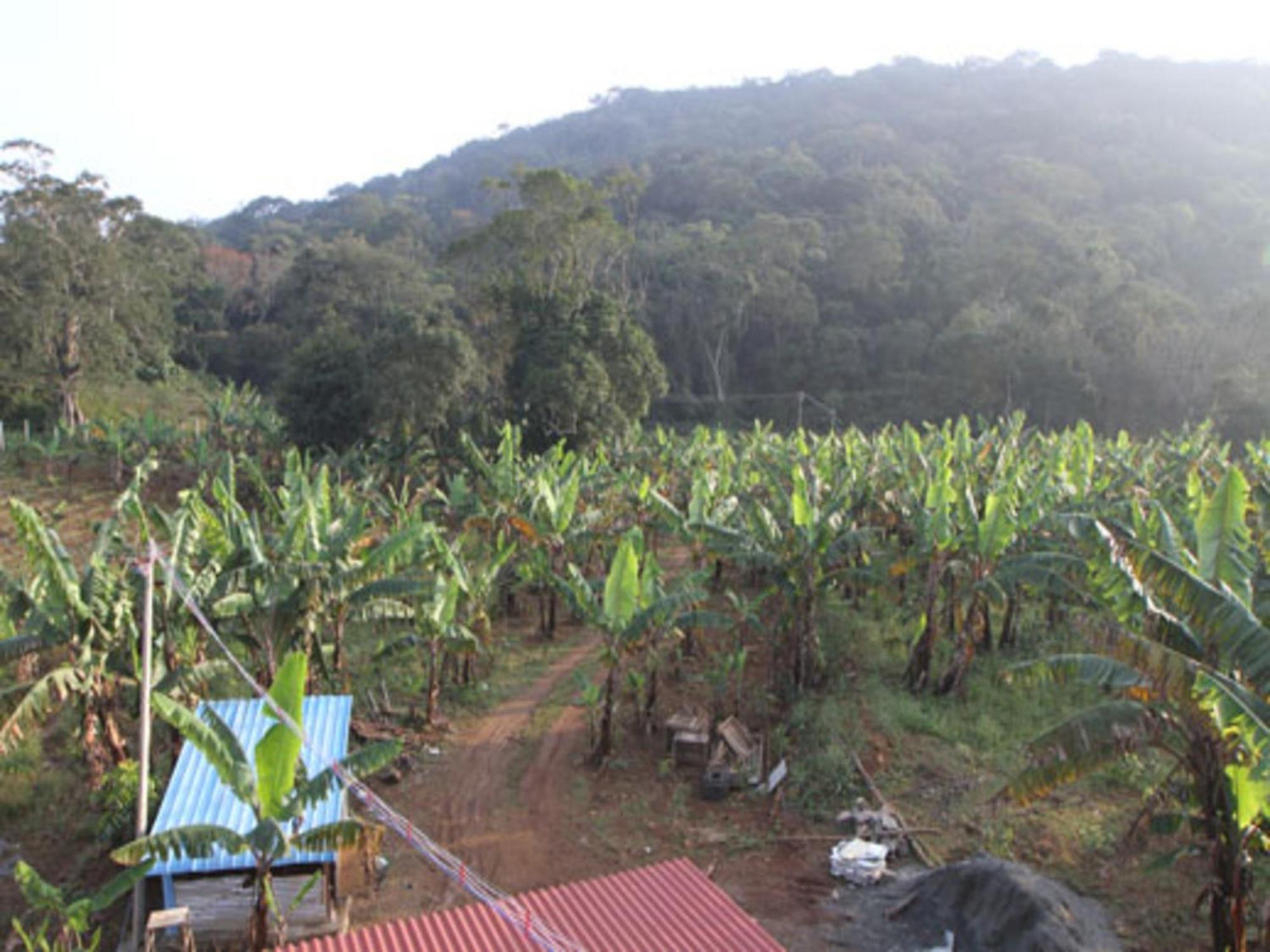 Coastal Grand Mahendravanam - Kolli Hills Exterior photo